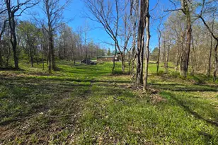 11748 Peelman, Vevay, IN 47043 - Photo 49