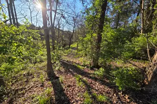 18180 Boone Robinson Rd, Patriot, IN 47038 - Photo 39