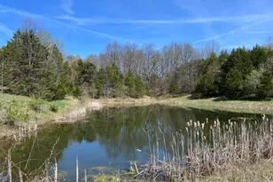 3500 S County Rd 750 E, Dillsboro, IN 47018 - Photo 11