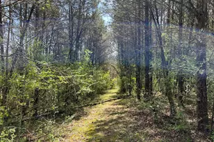 3500 S County Rd 750 E, Dillsboro, IN 47018 - Photo 13