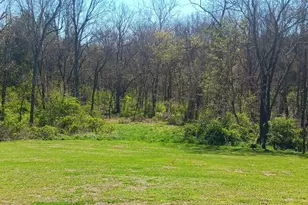 10185 Scotts Ridge Rd, Rising Sun, IN 47040 - Photo 29