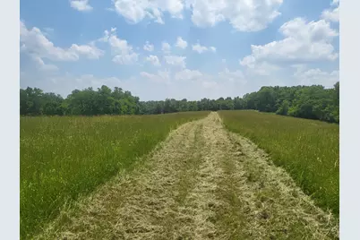 4405 Nixon Road, Rising Sun, IN 47040 - Photo 7