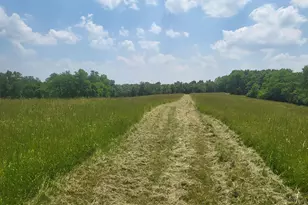 4405 Nixon Rd, Rising Sun, IN 47040 - Photo 7