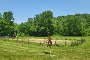 4405 Nixon Rd, Rising Sun, IN 47040 - Photo 21