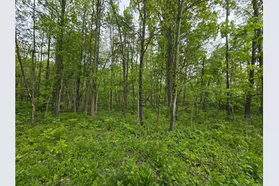 0 N Delaware, Milan, IN 47031 - Photo 3