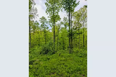 0 Long Branch Road, Moores Hill, IN 47032 - Photo 17