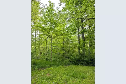 0 Long Branch Road, Moores Hill, IN 47032 - Photo 19