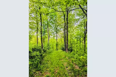 0 Long Branch Road, Moores Hill, IN 47032 - Photo 15