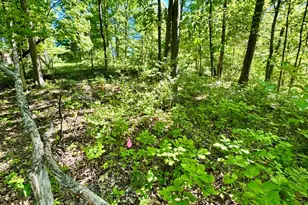 0 Kentucky Ave, West Harrison, IN 47060 - Photo 13