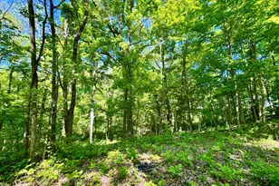 0 Kentucky Ave, West Harrison, IN 47060 - Photo 15