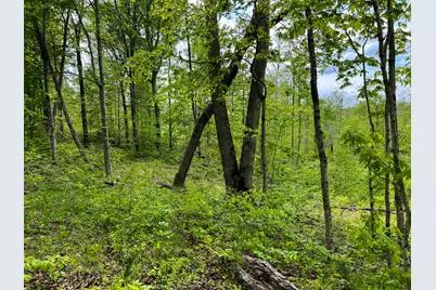 1 US 52, Laurel, IN 47024 - Photo 15