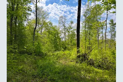 2 US 52, Laurel, IN 47024 - Photo 9