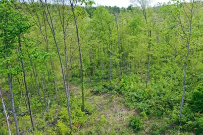 2 US 52, Laurel, IN 47024 - Photo 7