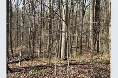 24115 Sanes Creek Rd Road, Laurel, IN 47024 - Photo 5