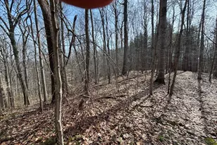 24115 Sanes Creek Rd Rd, Laurel, IN 47024 - Photo 1