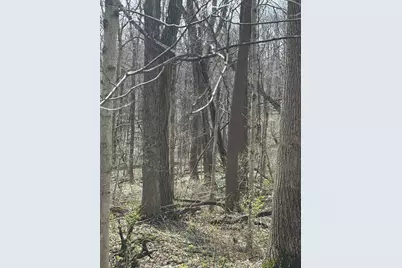 24115 Sanes Creek Rd Road, Laurel, IN 47024 - Photo 7