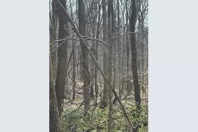 24115 Sanes Creek Rd Road, Laurel, IN 47024 - Photo 11