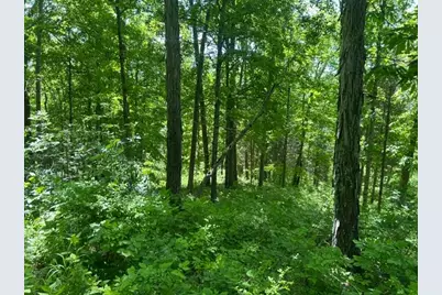 0 Searcy Ridge Road, Patriot, IN 47038 - Photo 19