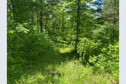 0 Searcy Ridge Road, Patriot, IN 47038 - Photo 21