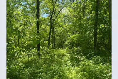 0 Searcy Ridge Road, Patriot, IN 47038 - Photo 35