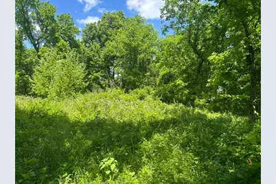 0 Searcy Ridge Road, Patriot, IN 47038 - Photo 33