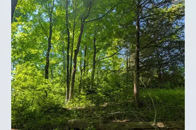 0 Long Branch Road, Moores Hill, IN 47032 - Photo 9