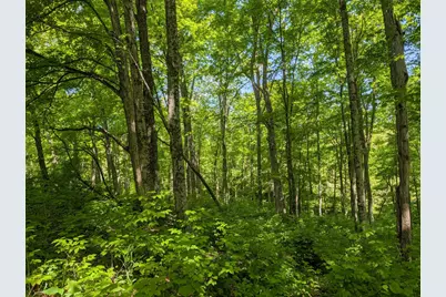0 Long Branch Road, Moores Hill, IN 47032 - Photo 7
