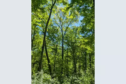 0 Long Branch Road, Moores Hill, IN 47032 - Photo 13
