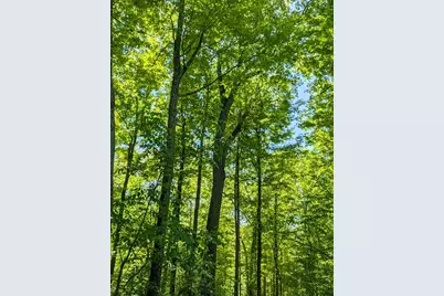 0 Long Branch Road, Moores Hill, IN 47032 - Photo 15