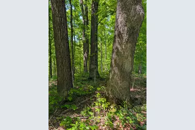 0 Long Branch Road, Moores Hill, IN 47032 - Photo 27