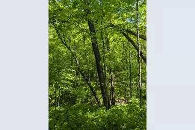 0 Long Branch Road, Moores Hill, IN 47032 - Photo 19