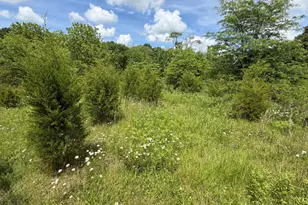 8141 E State Road 350, Milan, IN 47031 - Photo 35