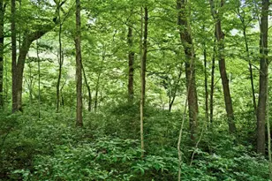 15126 State Road 101, Brookville, IN 47012 - Photo 51