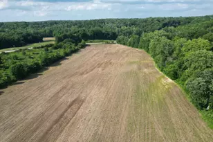 244 E State Road 48, Osgood, IN 47037 - Photo 1