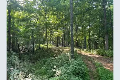 0 Sand Ridge Road, Patriot, IN 47038 - Photo 29