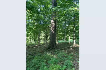 0 Sand Ridge Road, Patriot, IN 47038 - Photo 13