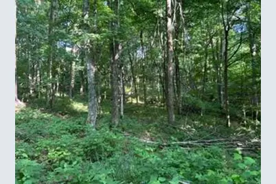 0 Sand Ridge Road, Patriot, IN 47038 - Photo 23