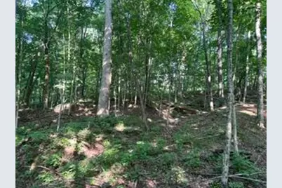 0 Sand Ridge Road, Patriot, IN 47038 - Photo 27
