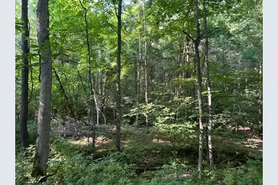 0 Sand Ridge Road, Patriot, IN 47038 - Photo 59