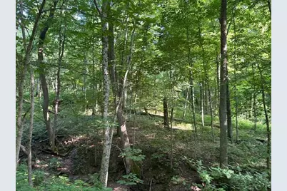 0 Sand Ridge Road, Patriot, IN 47038 - Photo 49
