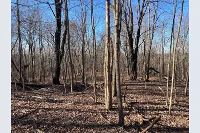 0 Sand Ridge Road, Patriot, IN 47038 - Photo 15