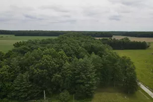 6252 N Old Michigan Rd, Osgood, IN 47037 - Photo 1