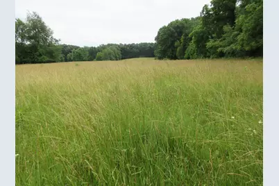 0 Dewitt Road, Moores Hill, IN 47032 - Photo 5