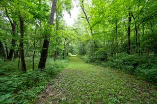 12567 White Plains Rd, Milan, IN 47031 - Photo 19