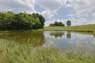20401 Platt Rd, Guilford, IN 47022 - Photo 41