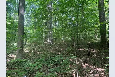 24229 Sanes Creek Road, Laurel, IN 47024 - Photo 25