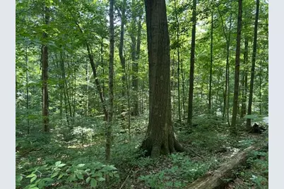 24229 Sanes Creek Road, Laurel, IN 47024 - Photo 29