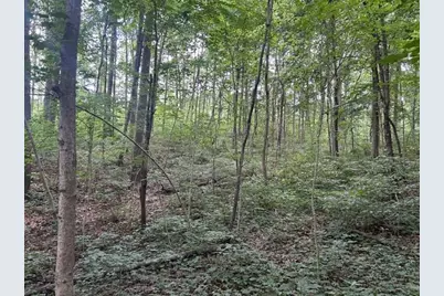 24229 Sanes Creek Road, Laurel, IN 47024 - Photo 23