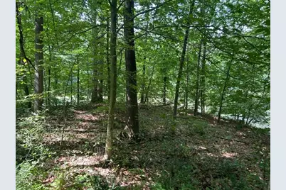 24229 Sanes Creek Road, Laurel, IN 47024 - Photo 19