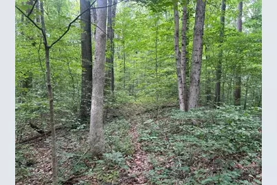 24229 Sanes Creek Road, Laurel, IN 47024 - Photo 39